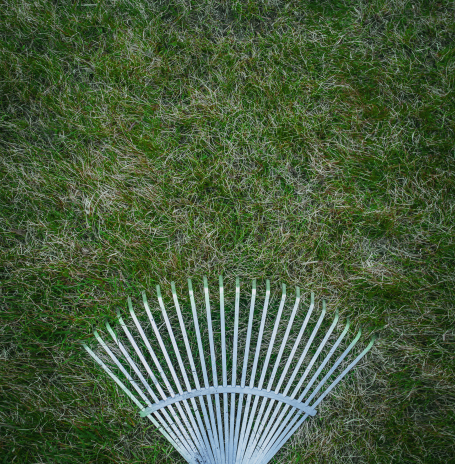 service_455 x 464clean